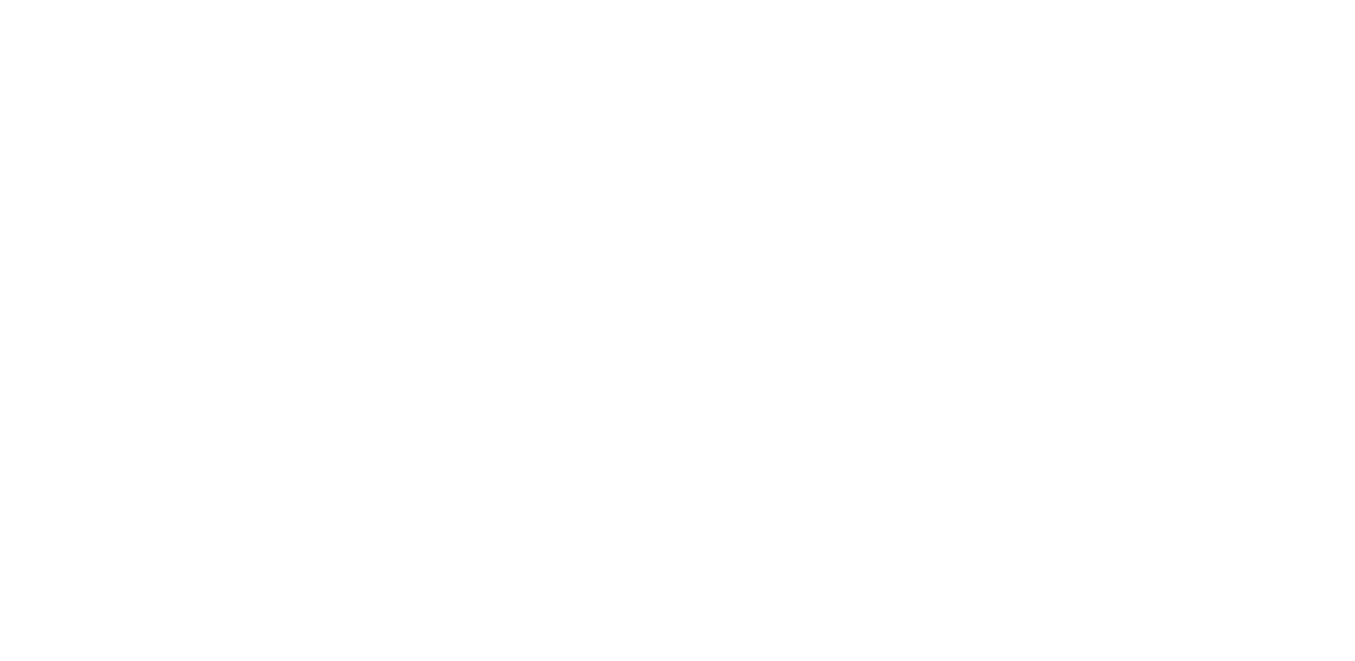 Fondation IPPON